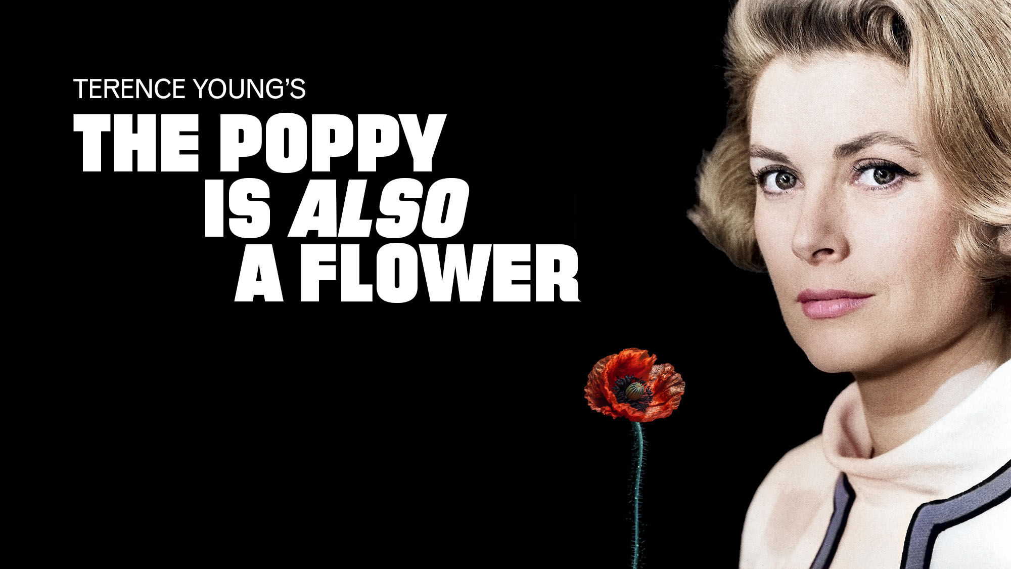 [The Poppy Is Also a Flower]